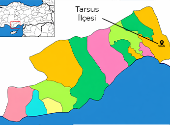 Tarsus