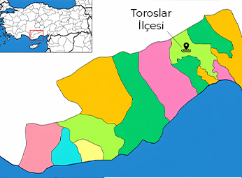 Toroslar