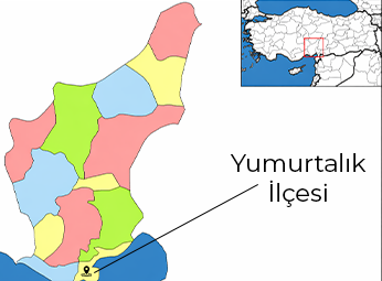 Yumurtalık